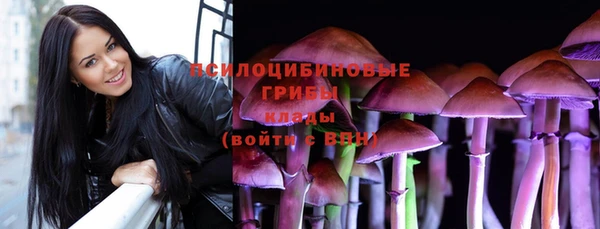 стафф Железноводск